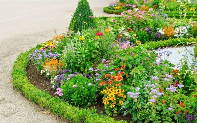 1 – Landscaping 1a 1 - Landscaping 1a