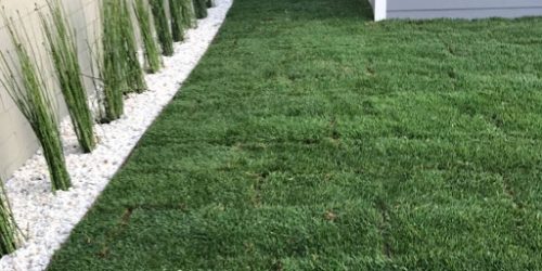 1 Turf & Sod Installation