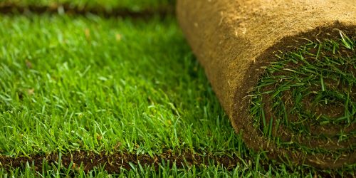 Sod Installation, Sod Installer, Sod Company, Sod Contractor