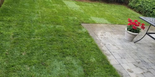 5 Sod Installation Free Estimate