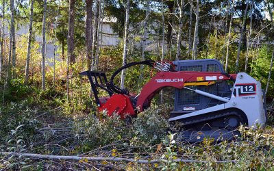 Excavation, Bobcat Clearing, Land Clearing, Brush Clearing