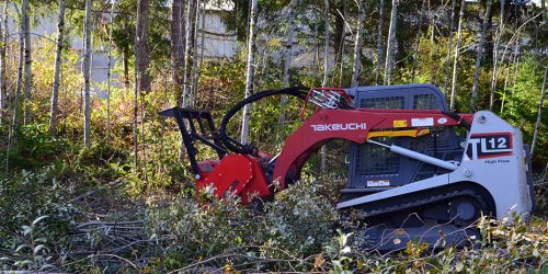 Excavation, Bobcat Clearing, Land Clearing, Brush Clearing
