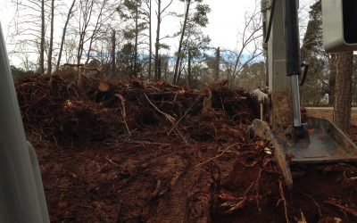 Brush Clearing, Vegetation Clearing