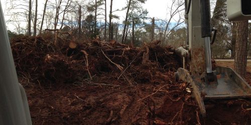 Brush Clearing, Vegetation Clearing