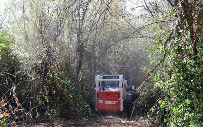 Excavation, Bobcat Clearing, Land Clearing, Brush Clearing