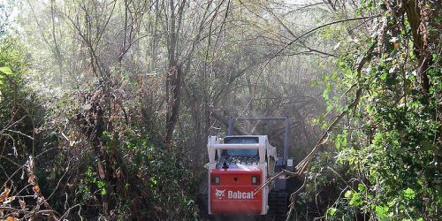 Excavation, Bobcat Clearing, Land Clearing, Brush Clearing