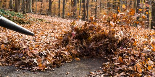Leaf Removal, Leaf Removal service, Fall Clean Up, Spring Clean Up,