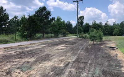 Land Clearing, Lot Clearing, Site Clearing