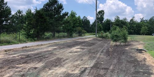 Land Clearing, Lot Clearing, Site Clearing