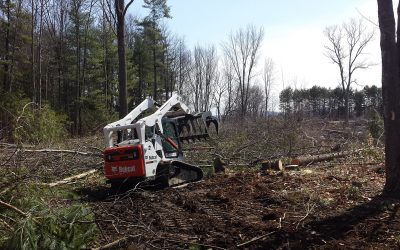 Brush Clearing, Vegetation Clearing