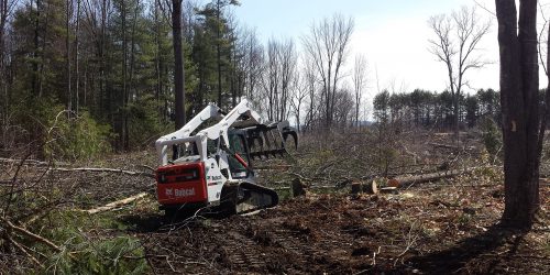 Brush Clearing, Vegetation Clearing