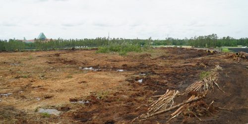 Land Clearing, Lot Clearing, Site Clearing