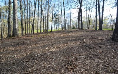Brush Clearing, Vegetation Clearing