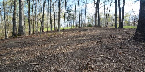 Brush Clearing, Vegetation Clearing