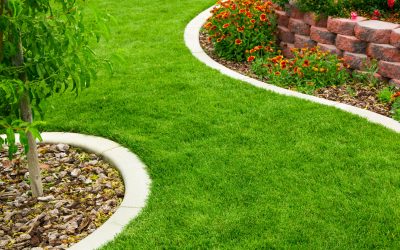 Lawn Mowing, Lawn Care, Lawn Service