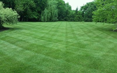 Lawn Mowing, Lawn Care, Lawn Service