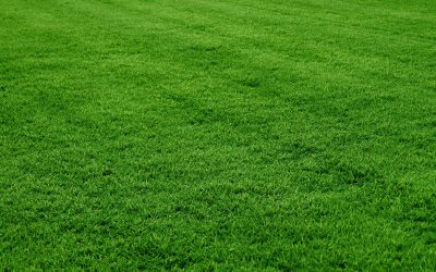 Lawn Mowing, Lawn Care, Lawn Service