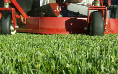 Lawn Mowing, Lawn Care, Lawn Service