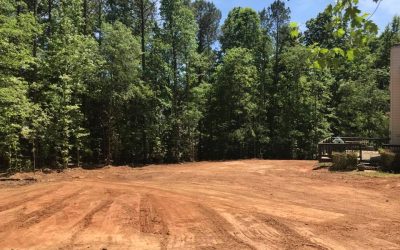 Lawn Service – Bobcat services 1 Excavation, Bobcat Clearing, Land Clearing, Brush Clearing
