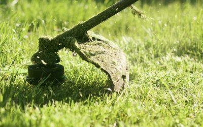 Lawn Mowing, Lawn Care, Lawn Service