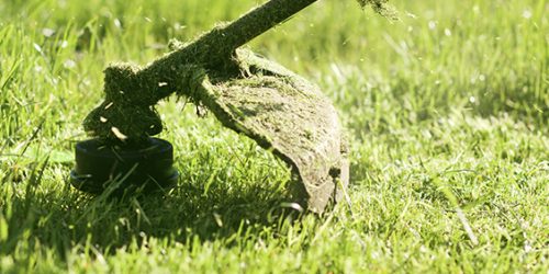 Lawn Mowing, Lawn Care, Lawn Service