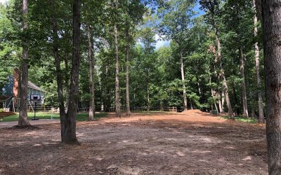 Brush Clearing, Vegetation Clearing