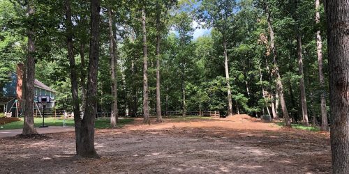 Brush Clearing, Vegetation Clearing