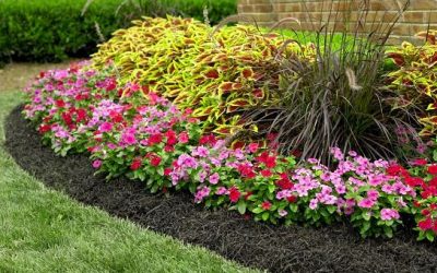 Landscaping, Flower Beds, Plants, Shrubs, Mulch, Tree Landscaping, Flower Beds, Plants, Shrubs, Mulch, Tree