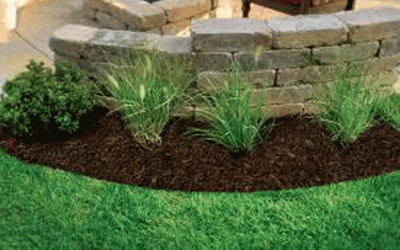 Landscaping, Flower Beds, Plants, Shrubs, Mulch, Tree