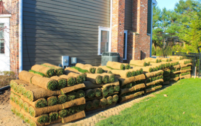 Sod Installation Free Estimates Sod Installation Free Estimates