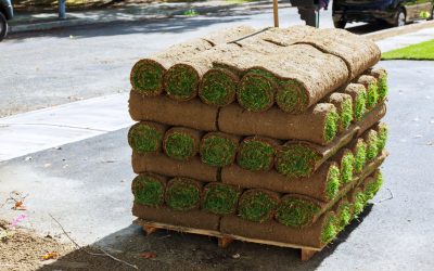 Sod Installation, Sod Installer, Sod Company, Sod Contractor Sod Installation Free Estimates