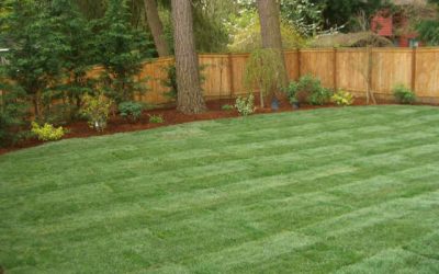 Sod Installation Free Estimates Sod Installation Free Estimates