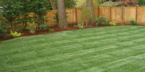 Sod Installation Free Estimates