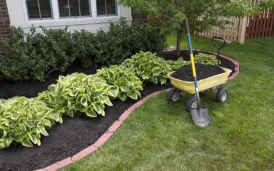Landscaping, Flower Beds, Plants, Shrubs, Mulch, Tree Landscaping, Flower Beds, Plants, Shrubs, Mulch, Tree