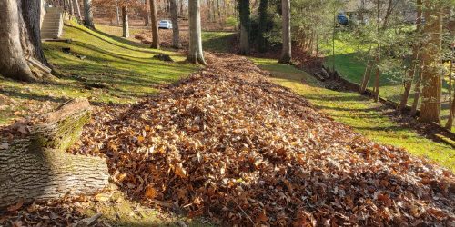 Leaf Removal, Leaf Removal service, Fall Clean Up, Spring Clean Up,