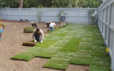 Sod Installation Free Estimates Sod Installation Free Estimates