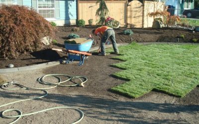 Sod Installation Free Estimates Sod Installation Free Estimates